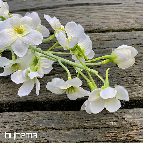 DELPHINIUM WEISS
