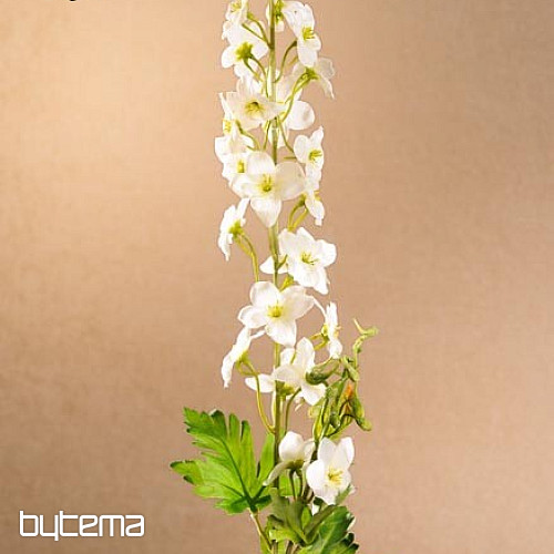 DELPHINIUM WEISS
