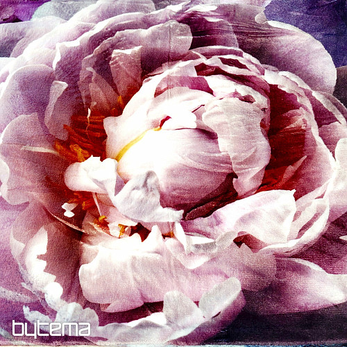 Microflanell-Bettwäsche PEONY