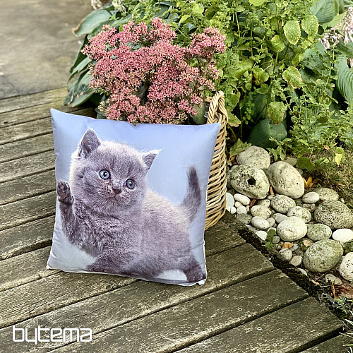 Deko-Cover KITTY