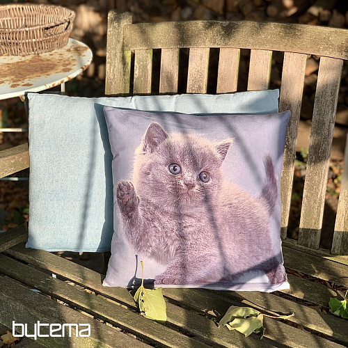 Deko-Cover KITTY
