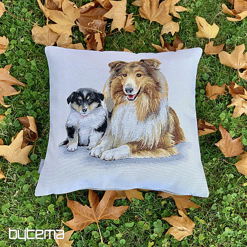 Wandteppichbezug Colli und Welpe