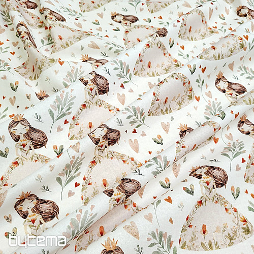 Baumwollstoff TRAUMHAFTE PRINZESSIN