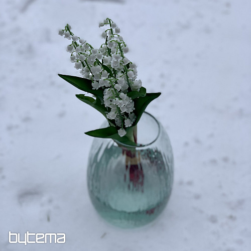 LILIE DER LANGLEBIGEN