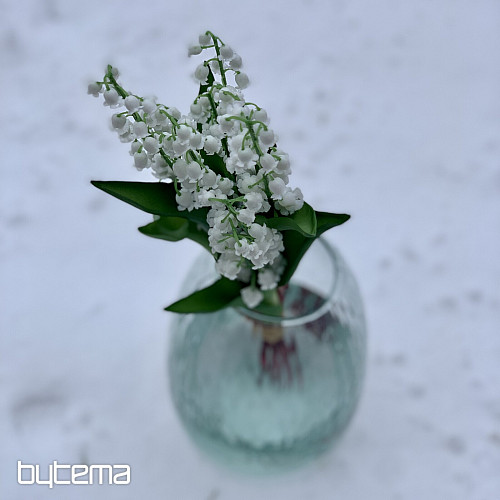 LILIE DER LANGLEBIGEN