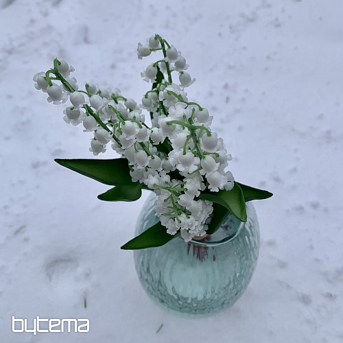 LILIE DER LANGLEBIGEN