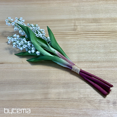 LILIE DER LANGLEBIGEN