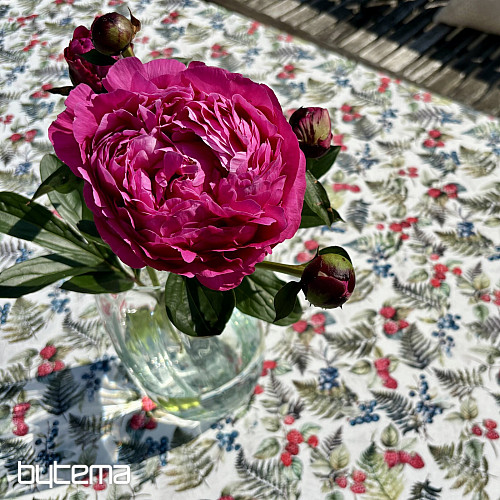 Tischdecke BEEREN