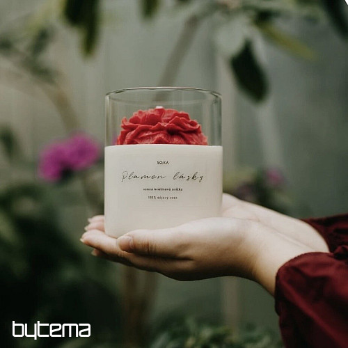 Duftkerze „Wüstenblume“ mit Kakteen