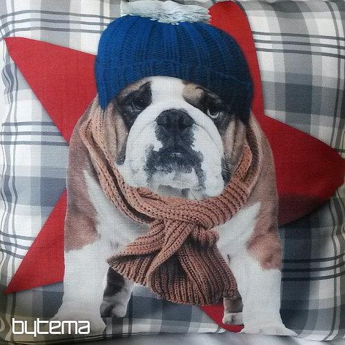 Dekorativer Kissenbezug HARRY DIE BULLDOGGE 2