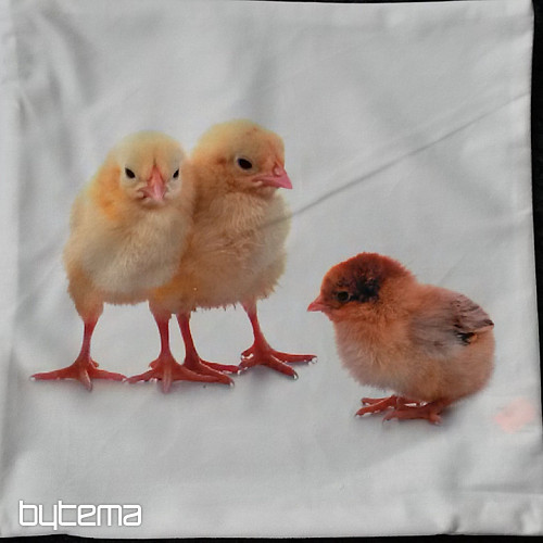 Dekorativer Kissenbezug HUHN