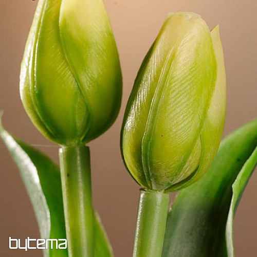 Tulpen mischen Farben