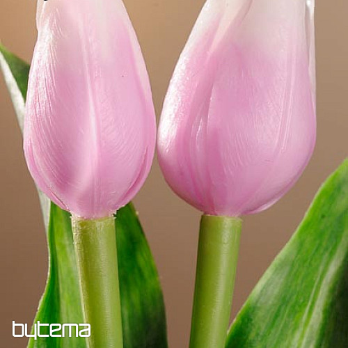 Tulpen mischen Farben