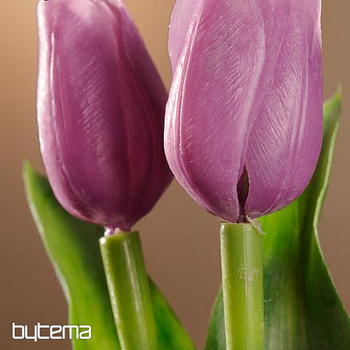 Tulpen mischen Farben