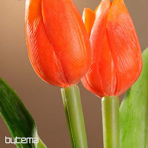 Tulpen mischen Farben