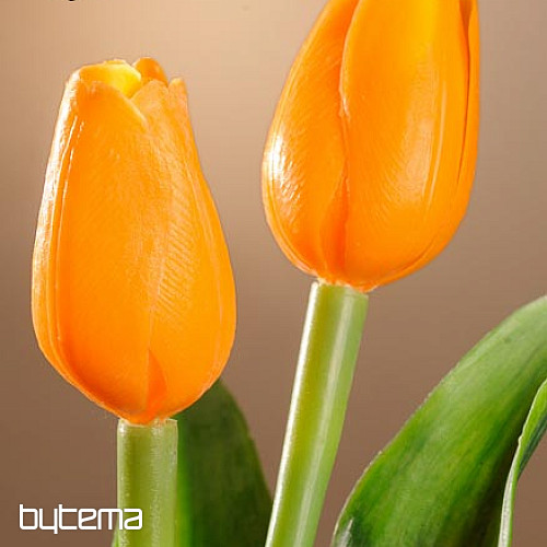 Tulpen mischen Farben