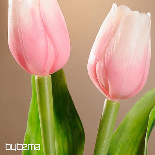 Tulpen mischen Farben