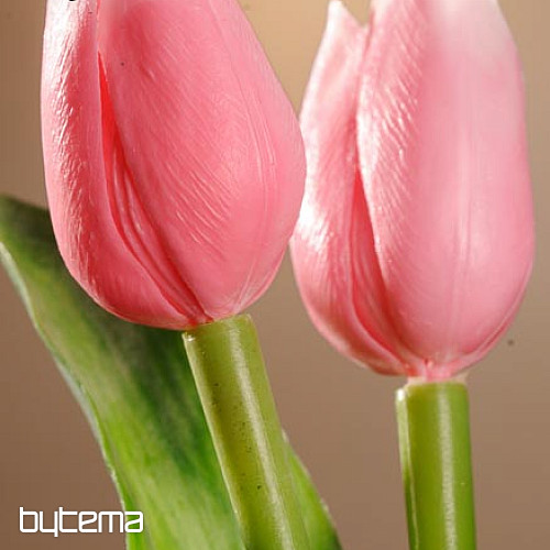 Tulpen mischen Farben