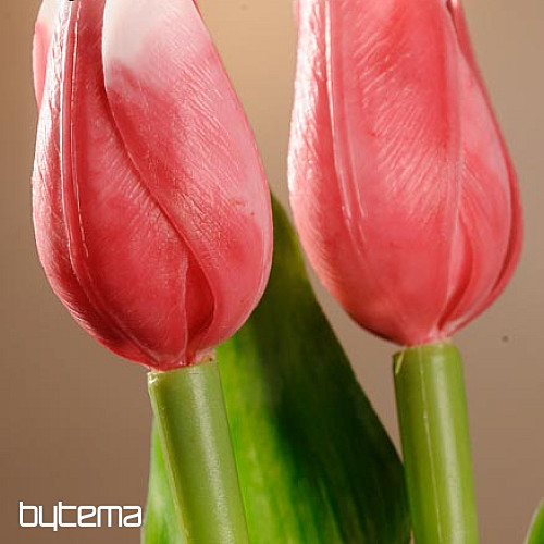 Tulpen mischen Farben