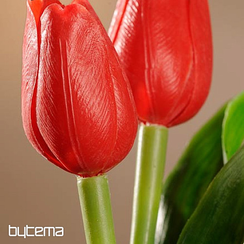 Tulpen mischen Farben