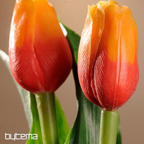 Tulpen mischen Farben