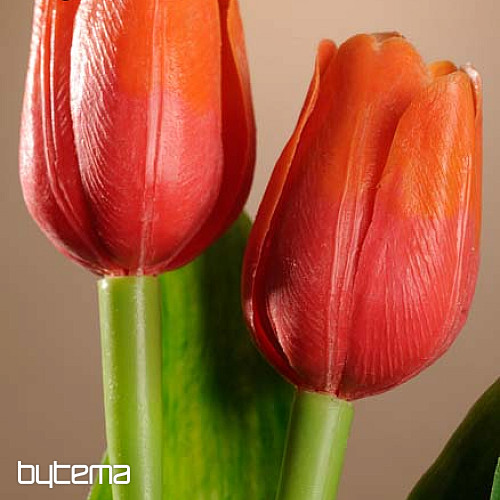Tulpen mischen Farben