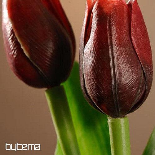 Tulpen mischen Farben