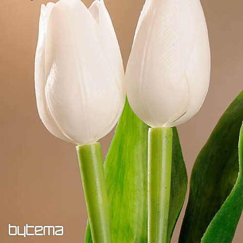 Tulpen mischen Farben