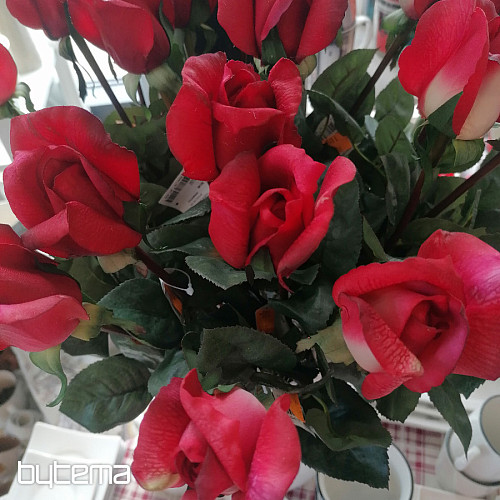 Rosenknospe rot 70 cm