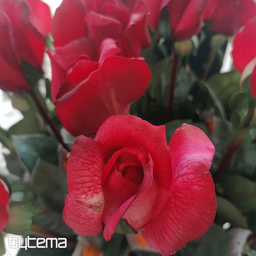 Rosenknospe rot 70 cm
