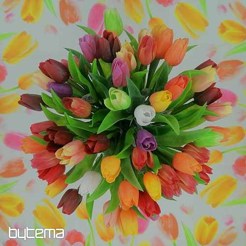 Tulpen mischen Farben